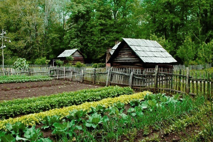 Sustainable Farming Systems